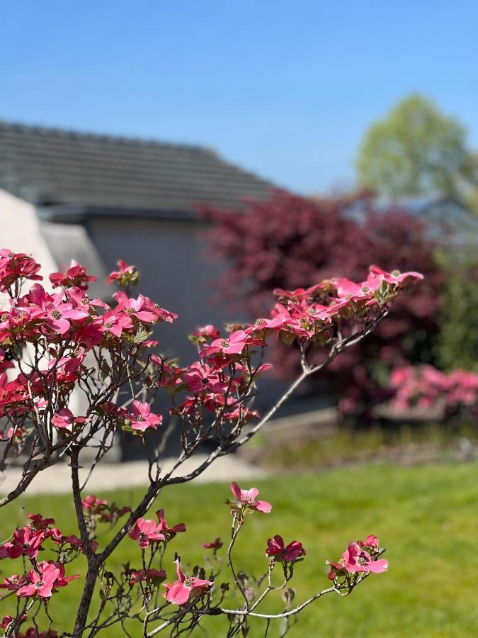 Ikigai Bed and Breakfast Oud-Turnhout Εξωτερικό φωτογραφία