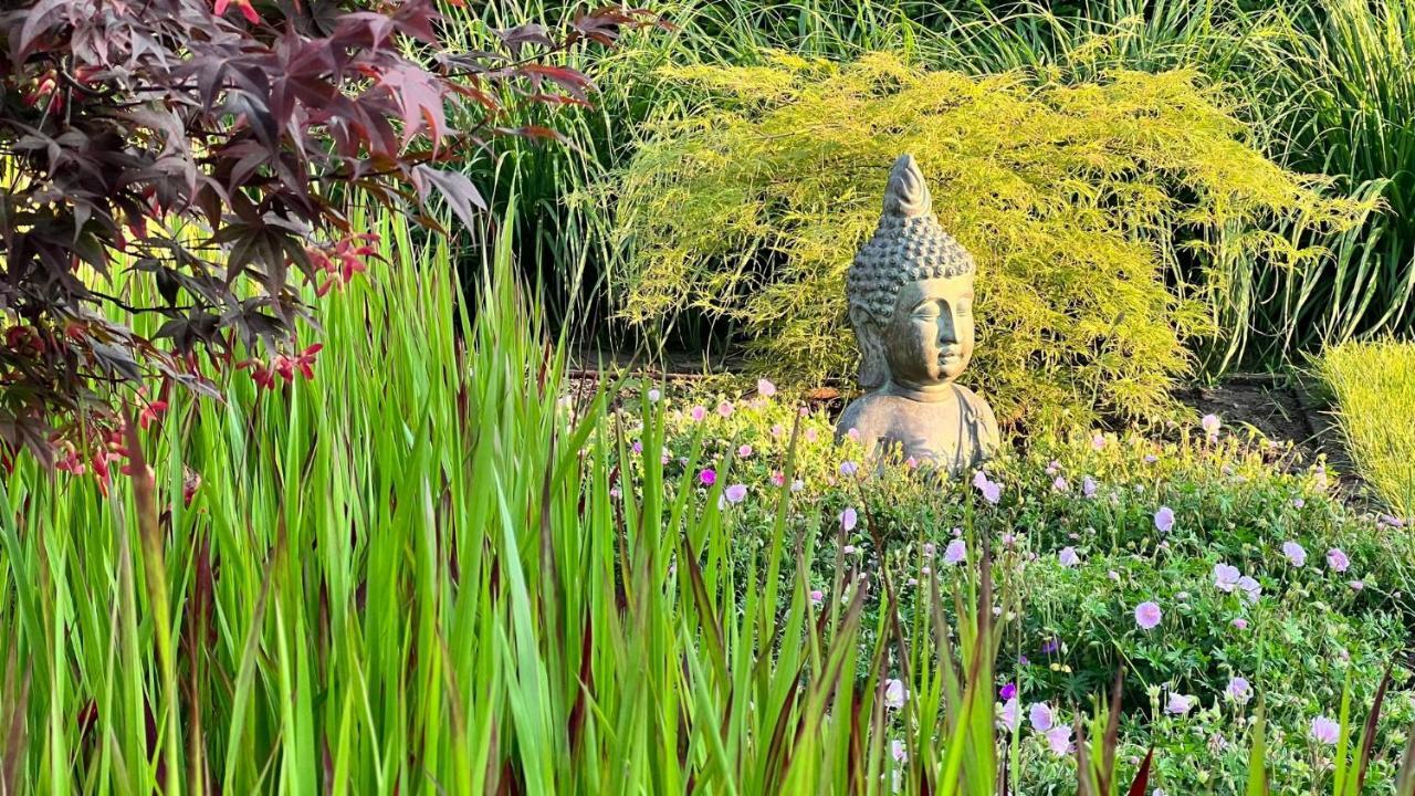 Ikigai B&B - Wellness Oud-Turnhout Εξωτερικό φωτογραφία