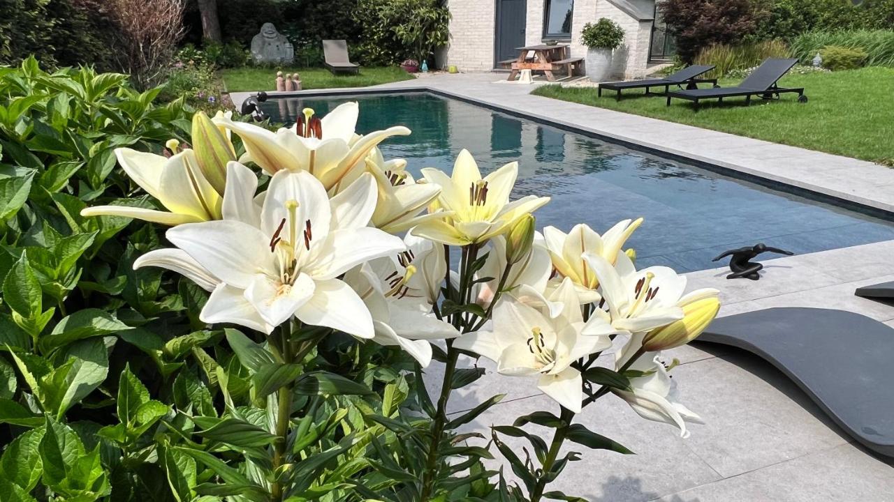 Ikigai Bed and Breakfast Oud-Turnhout Εξωτερικό φωτογραφία