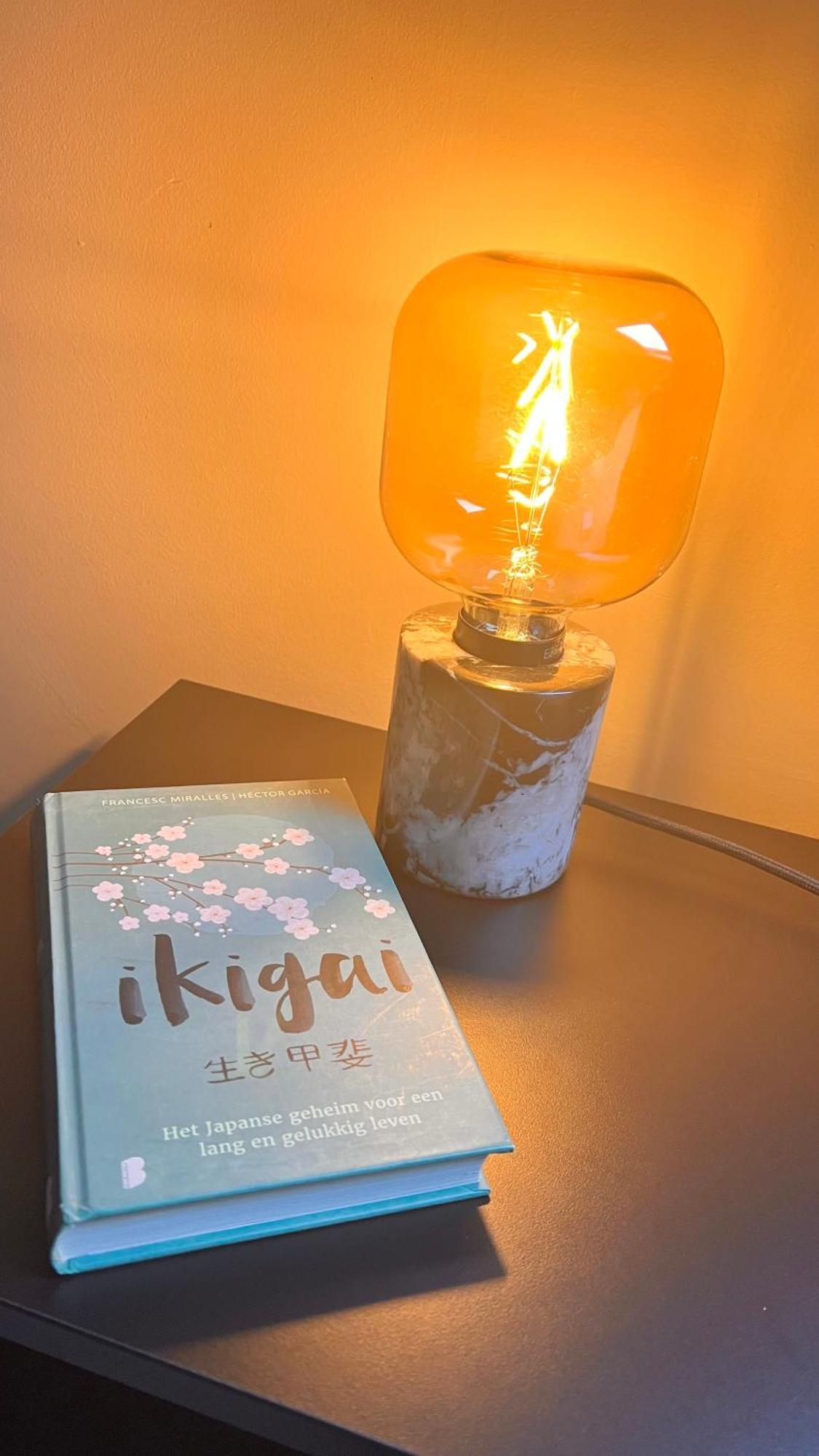Ikigai Bed and Breakfast Oud-Turnhout Δωμάτιο φωτογραφία