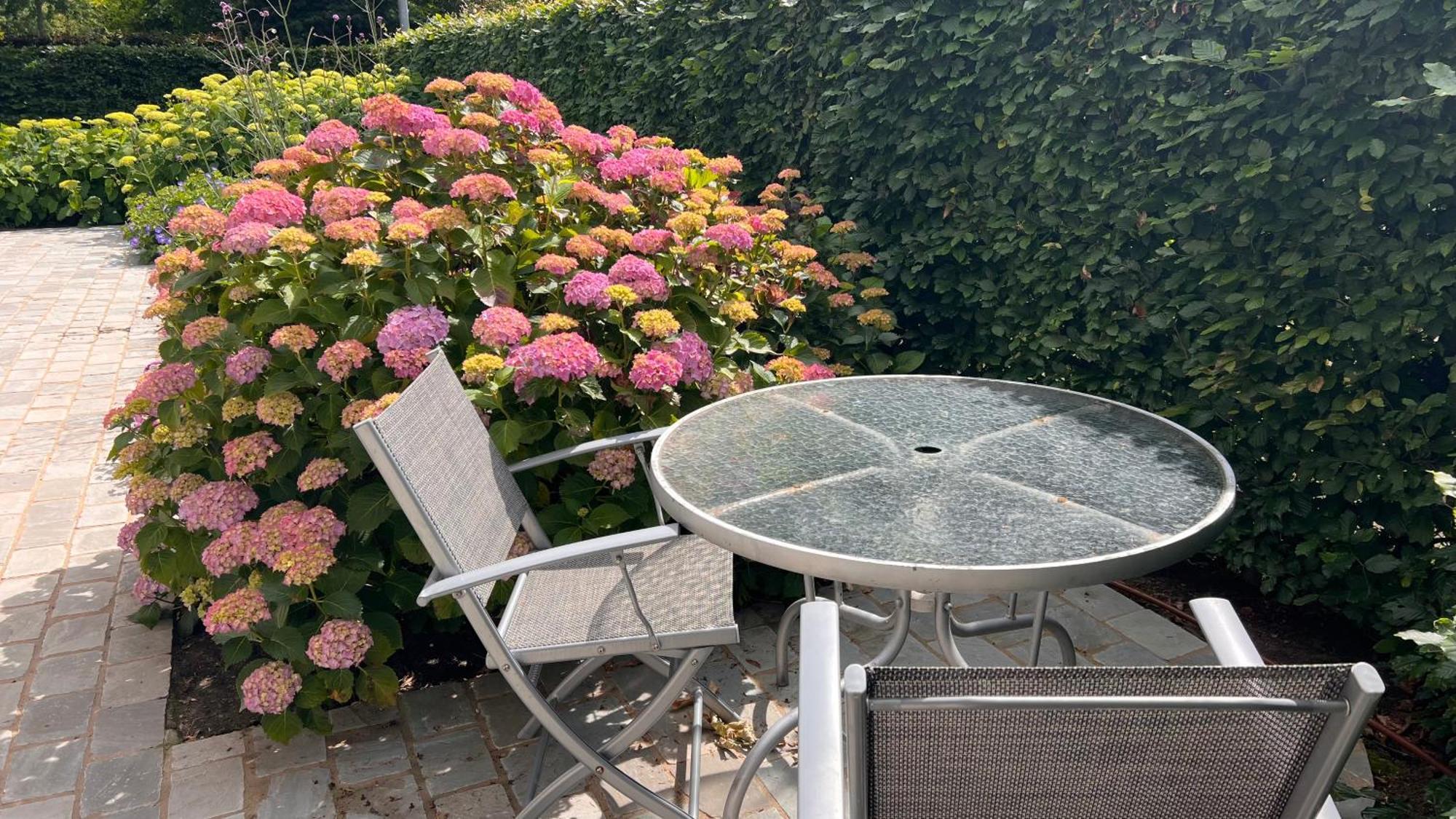 Ikigai Bed and Breakfast Oud-Turnhout Εξωτερικό φωτογραφία