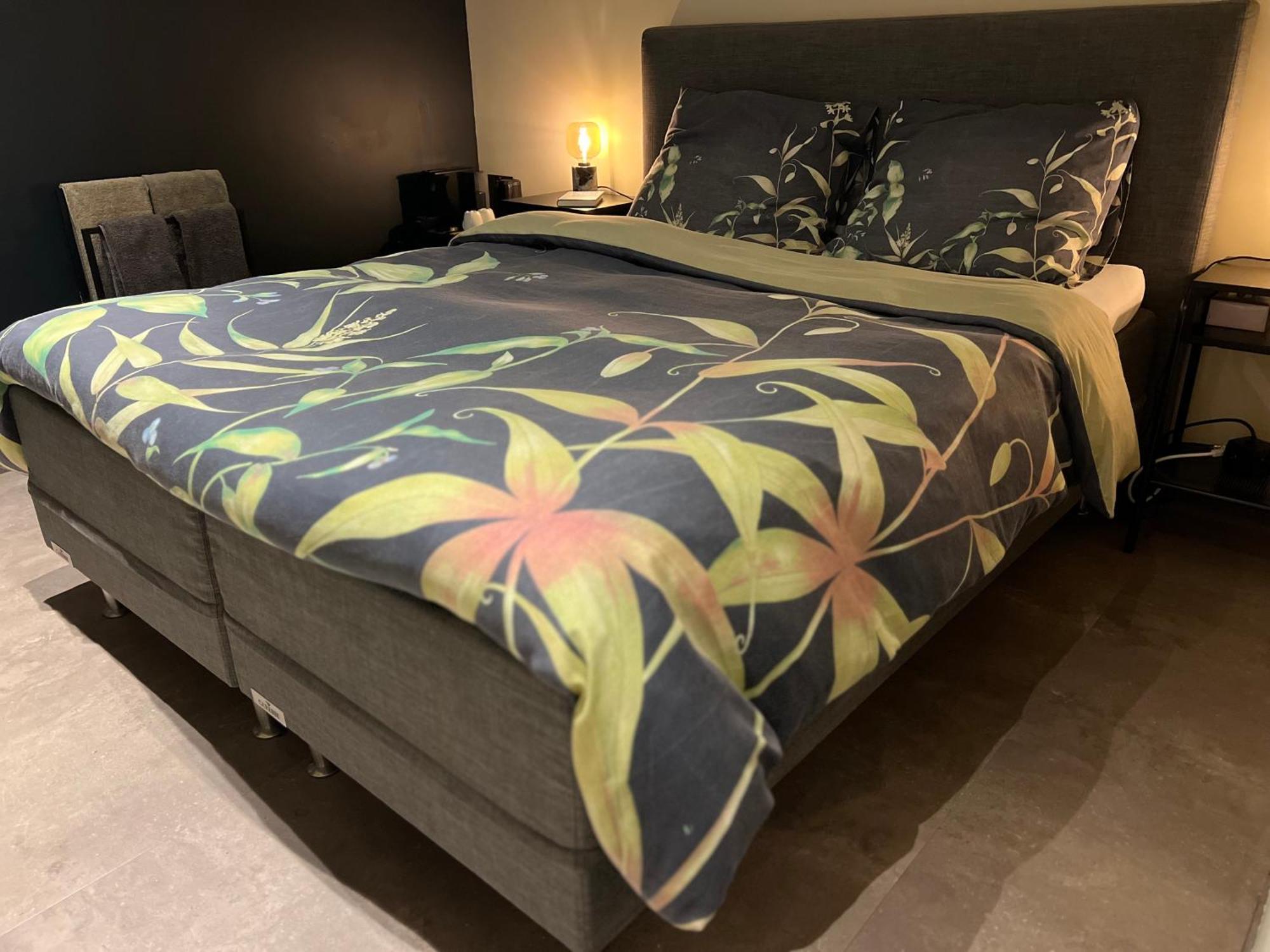 Ikigai B&B - Wellness Oud-Turnhout Εξωτερικό φωτογραφία